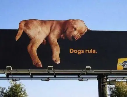 Marketing Sensoryczny