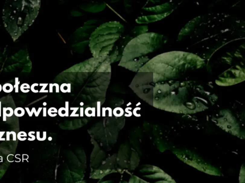Społeczna odpowiedzialność biznesu. Idea CSR