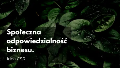 Społeczna odpowiedzialność biznesu. Idea CSR